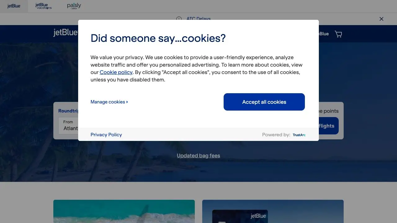 Screenshot of JetBlue